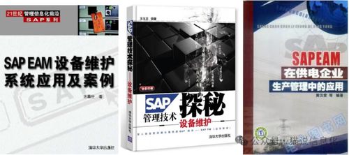 從擁有專業書的情況看國內外erp軟件廠商的生態差異